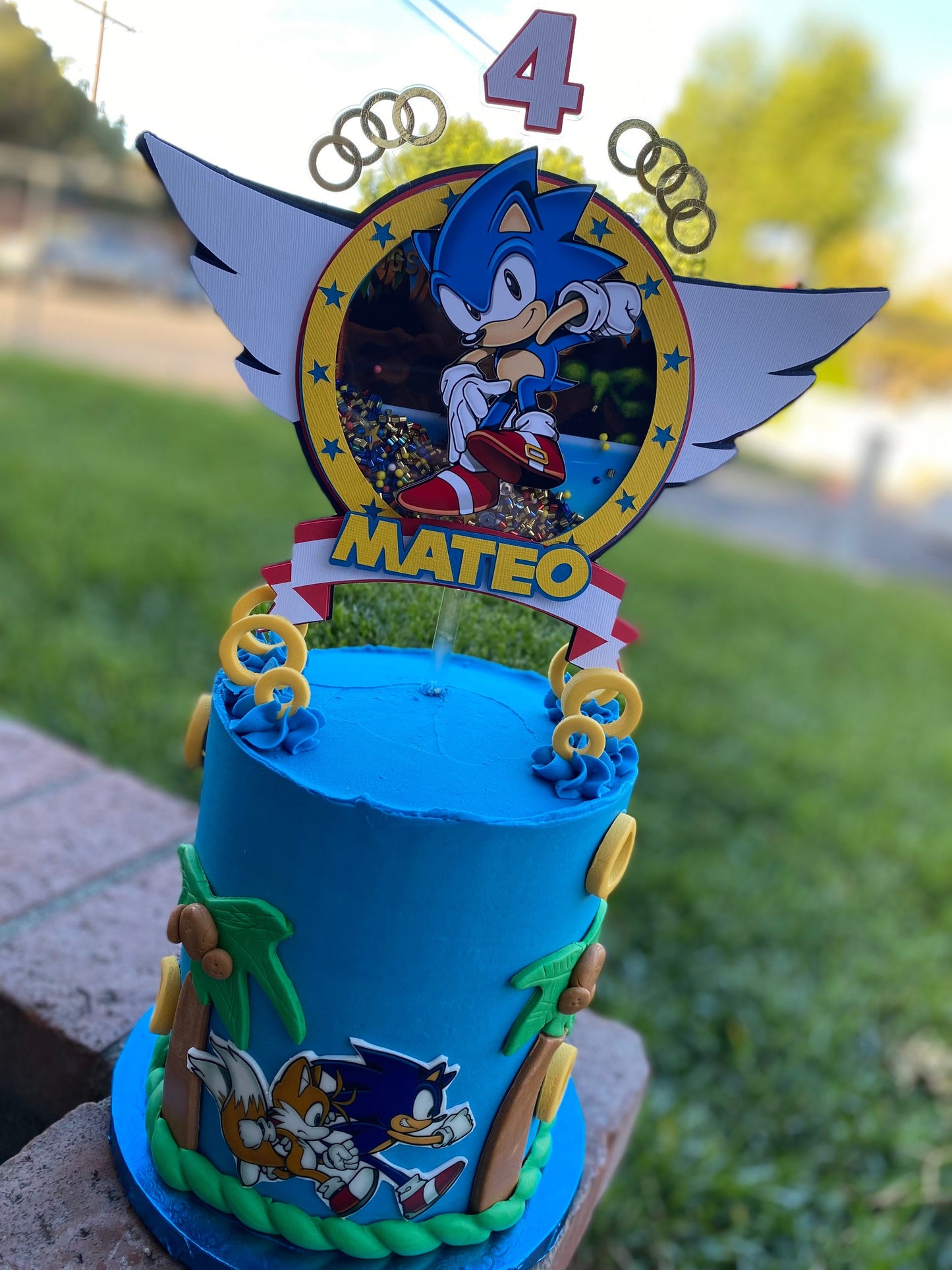 Sonic Shaker Cake Topper| Sonic Cake Topper | Sonic the Hedgehog Cake